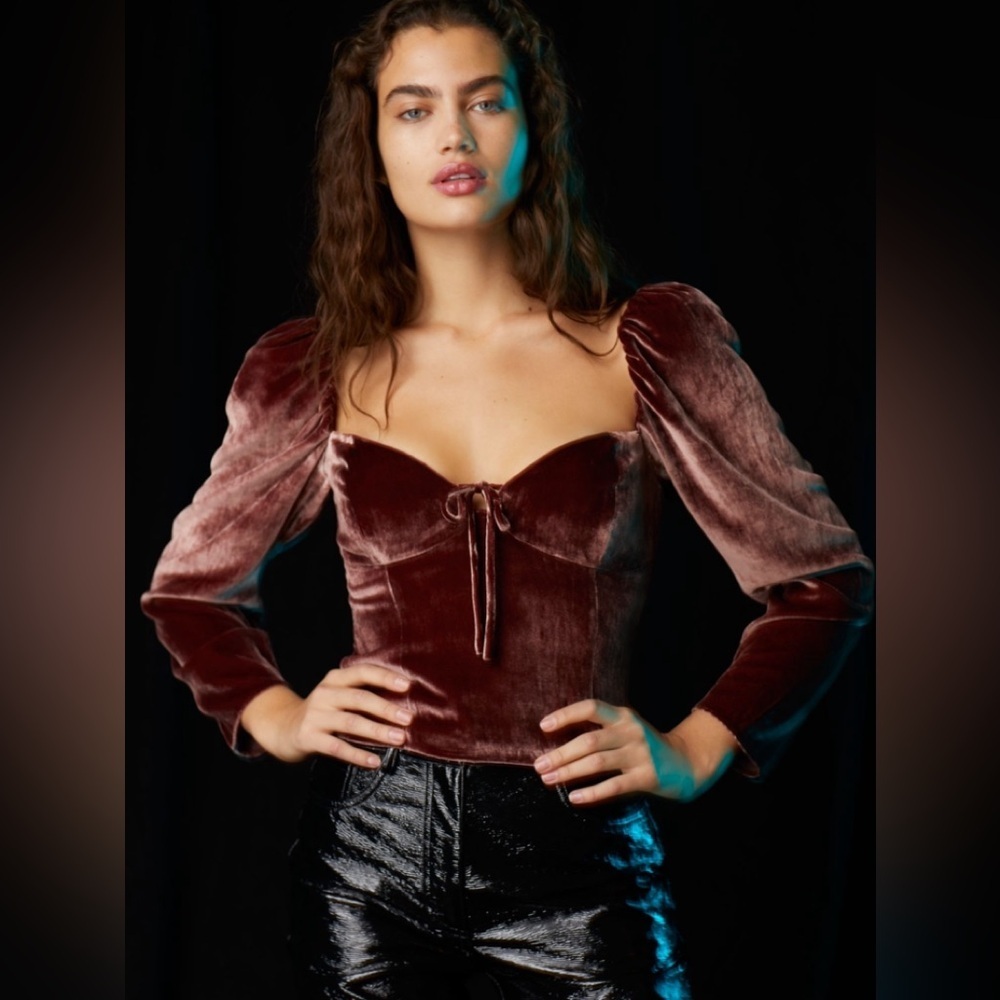 Aritzia Velvet Puff Sleeve Blouse in Deep Red